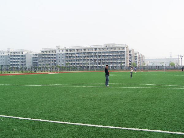 人造草運(yùn)動場地